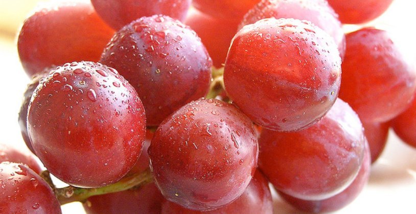 Uvas para Nochevieja