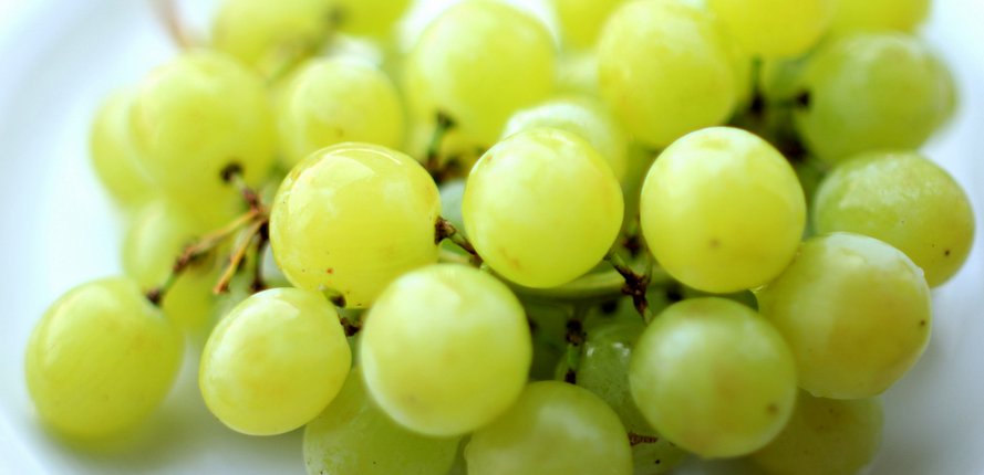 Uvas de fin de año