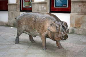 porco_do_cocido
