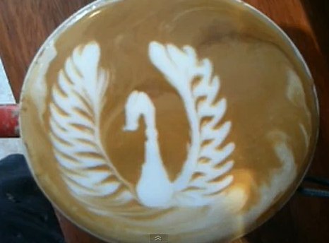 Arte del latte: cisne