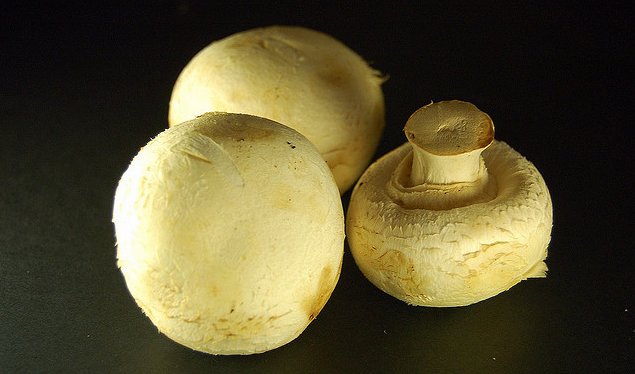 Champiñón, o Agaricus Bisporus