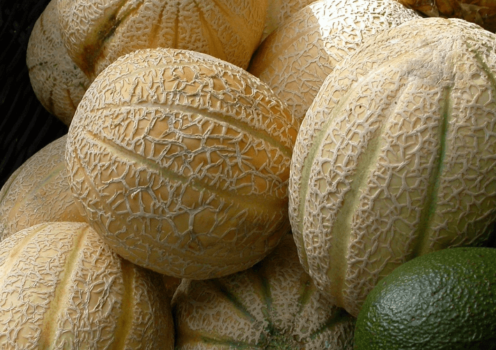 Melones