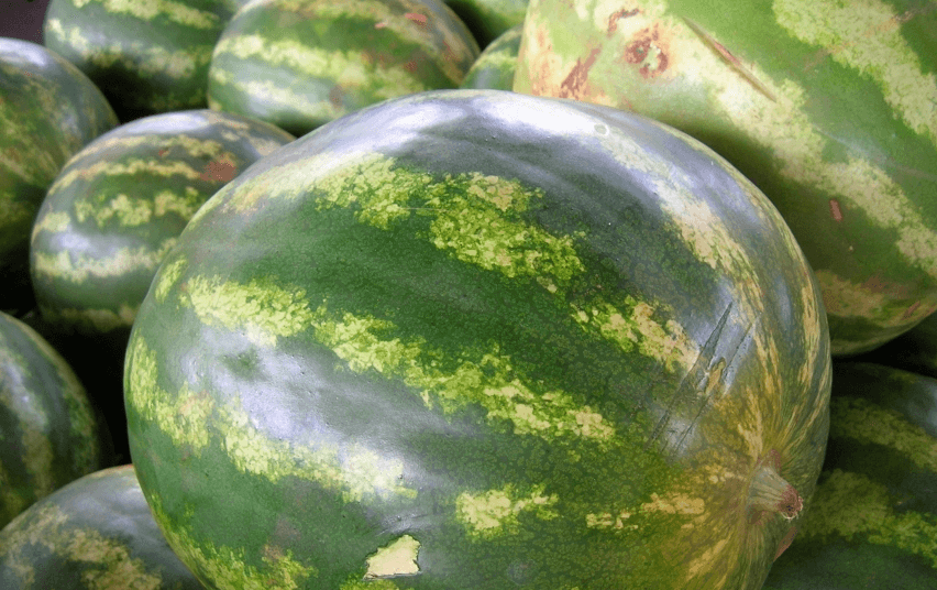 La sandía, una de las frutas de verano por excelencia