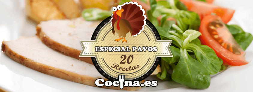 Portada del PDF con las 20 recetas de pavo