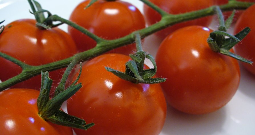 tomates cherry