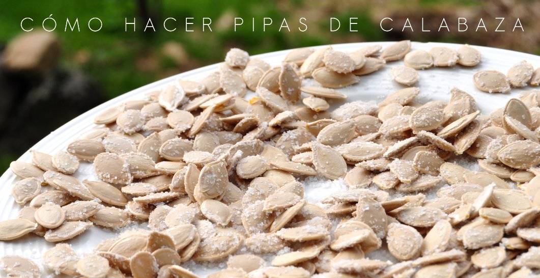 Cómo hacer pipas de calabaza