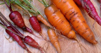 Zanahorias