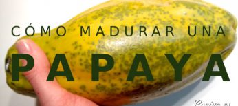 Cómo madurar una papaya