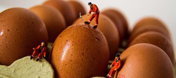 como cocer huevos