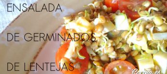 Ensalada de lentejas germinadas