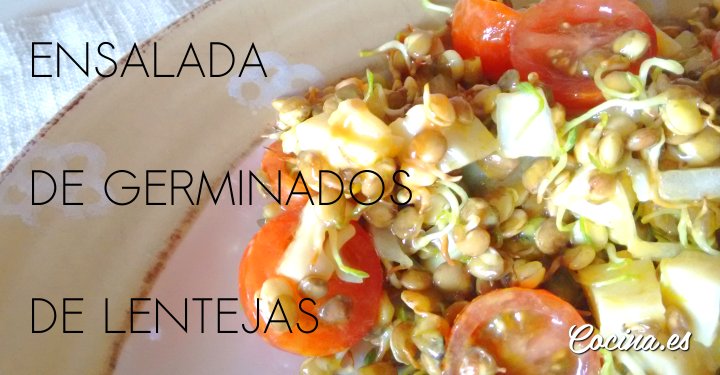 Ensalada de lentejas germinadas