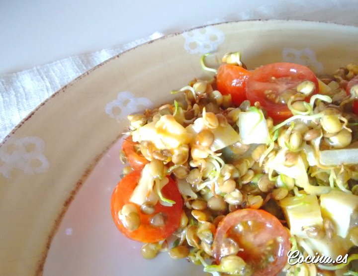 Ensalada de germinados de lentejas