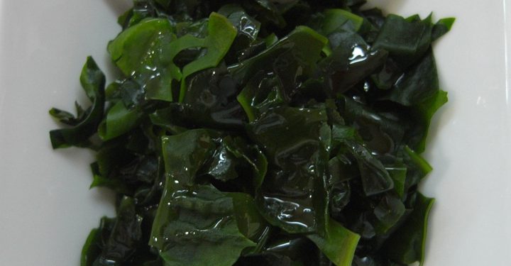 alga wakame