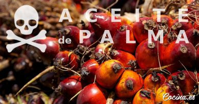 Aceite de Palma - Las 10 Verdades