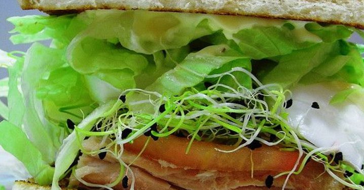 lechuga
