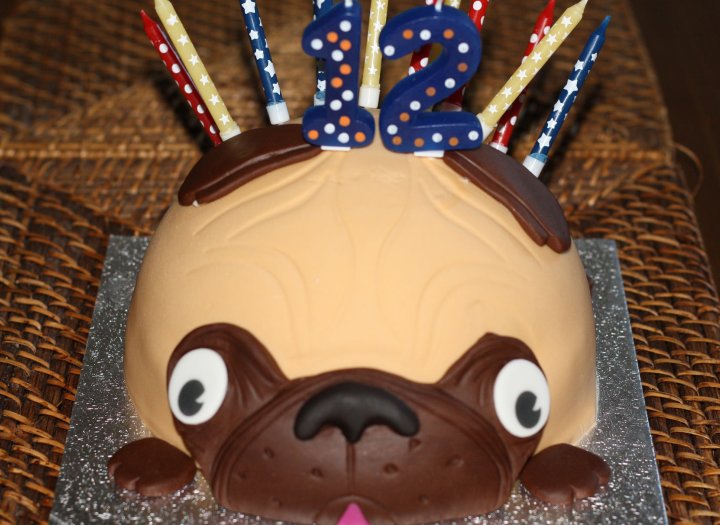 Tarta de Cumpleaños Perrito