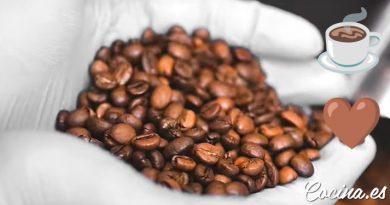 Tipos de café arábiga