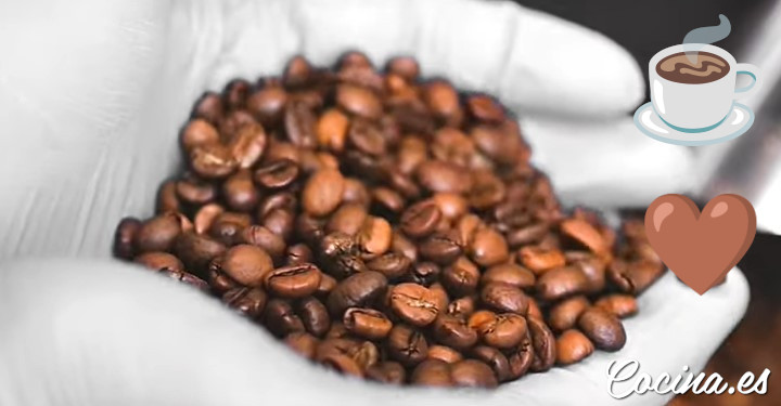 Tipos de café arábiga