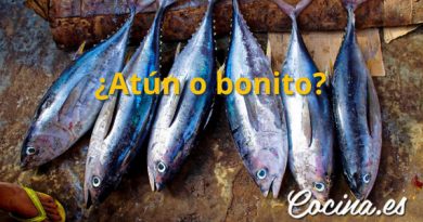 Diferencias entre atún y bonito