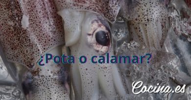 Diferencias entre la pota y el calamar