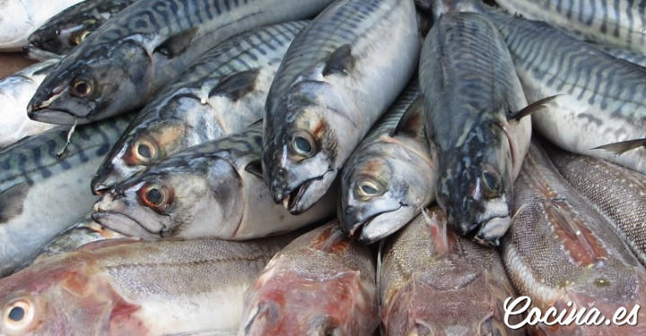 Cómo diferenciar un pescado salvaje de uno de piscifactoría