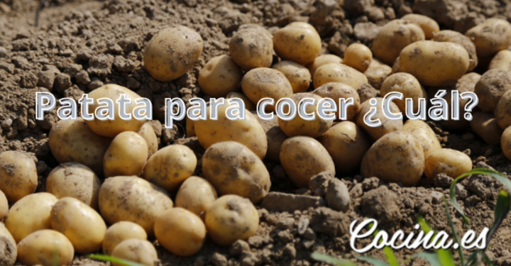 Patatas para cocer