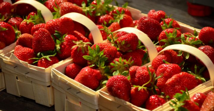 Por qué las fresas de Huelva ya no saben a fresas