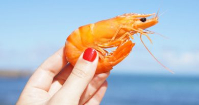 Gamba fresca