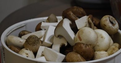 Qué setas comestibles son las más consumidas