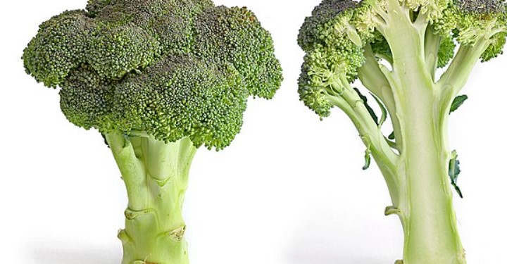 ¿Se pueden comer las ramas gruesas del brócoli?